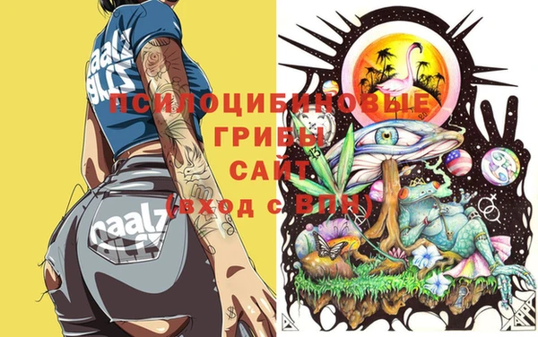 mdpv Балахна