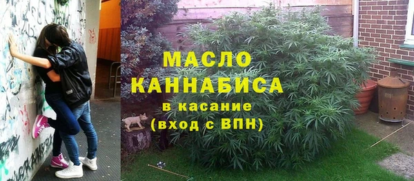 стаф Аркадак