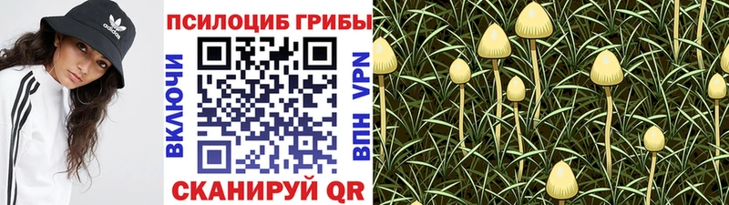 Галлюциногенные грибы Magic Shrooms  Опочка 